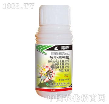 �G�S-����-��η������