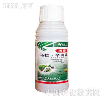 �G�S-����-�R��������