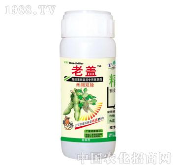 ����p��-���w-̩�