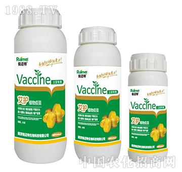 ���oֲ��������������-�J�~��