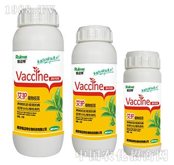 ���oֲ��������~����-�J�~��