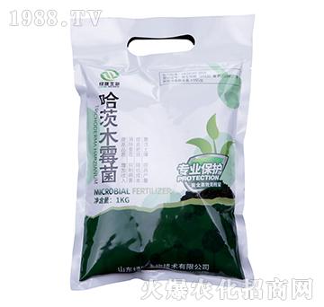 ����ľù��-�G�]����