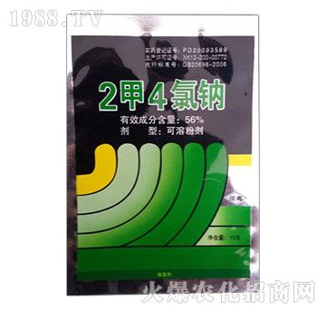 56%2��4���c-�����r(n��ng)ˎ