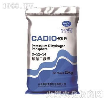 ��������0-52-34-���_��-ɭ��