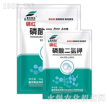 ��������-�׼t-���r(n��ng)˹�_(d��)