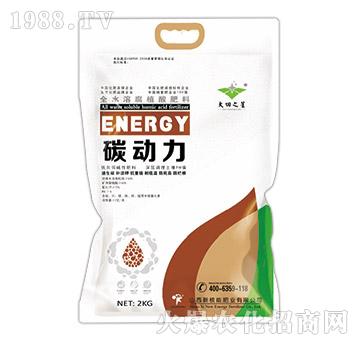 ȫˮ�ܸ�ֲ�����-̼��(d��ng)��-����֮��