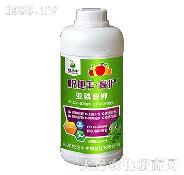 �������-���o(h��)-�����S