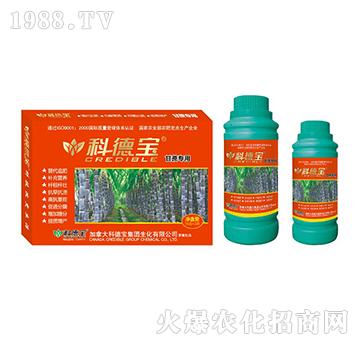 ���ጣ�àI�B(y��ng)���a�{�턩-�Ƶ�