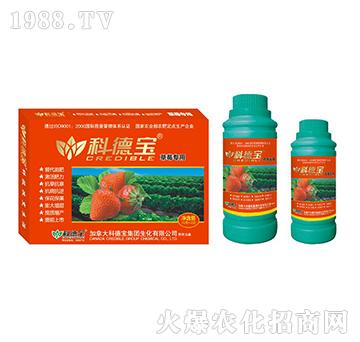 ��ݮ���àI�B(y��ng)���a�{�턩-�Ƶ�