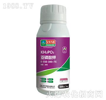 �������0-550-300+TE-���S�f¡