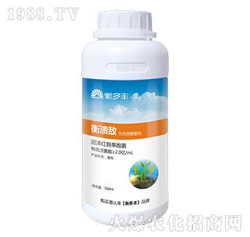 ��ϼ�������-�❢��-����S