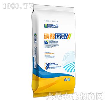 �����͵���-�����@�-���컯��