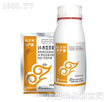 24-���|̦�؃�(n��i)��-�S�a(ch��n)��-���˹����r(n��ng)��