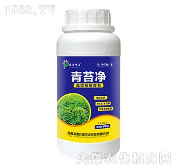 ��̦��-Ӣ���~��