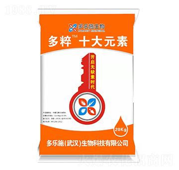 ���ʮ��Ԫ��-����ʩ