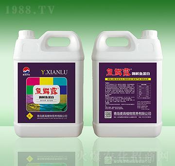 �~�r¶��ø���~����-���u����