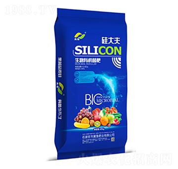 �����ЙC����-�����{��-�����ʘI(y��)