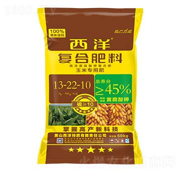 ���׌��Ï�(f��)�Ϸ���13-22-10-����ʘI(y��)