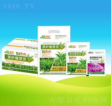 ���~��ѿ�`�M��-�n��ʘI(y��)