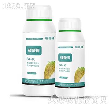 �����-��ϲ��-�|�S����