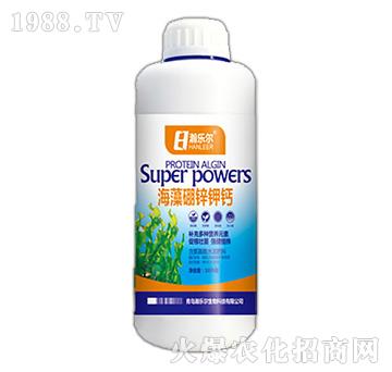 �������\��}-嫘���