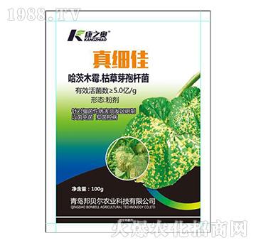 ����ľù���ݲ�ѿ�ߗU��-�漚��-��ؐ��