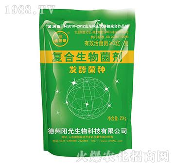 ��(f��)���������-�l(f��)�;��N-ꖹ�����