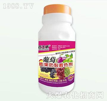 �������������ɫ��-��ʿ��