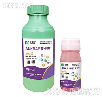 �Ǵ��F-������