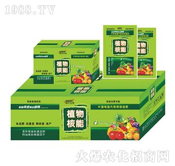 ֲ����ܴ��b-� �����