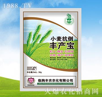 С�������S�a(ch��n)��-�S�r�r��