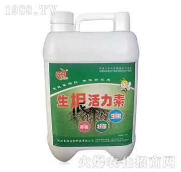 ����������-�����t