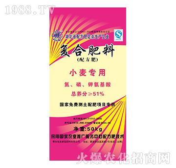 С�����ÏͺϷ���-����