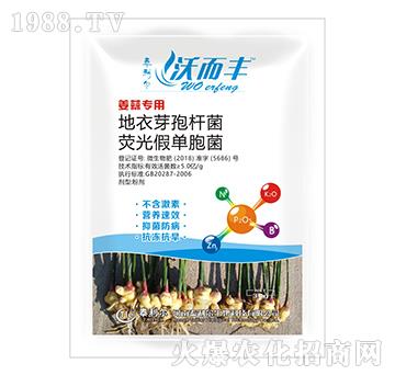 ���⌣(zhu��n)�ßɹ⡤����ѿ�ߗU��-�ֶ��S-̩����