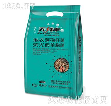 ����ѿ�ߗU�����ɹ�ΰ��U��-�o���S-̩����