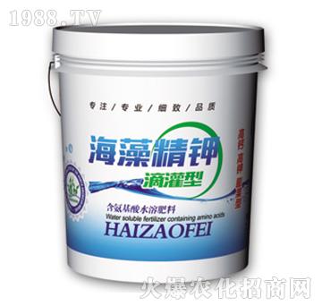 ���徫⛵ι��-�f(w��n)��