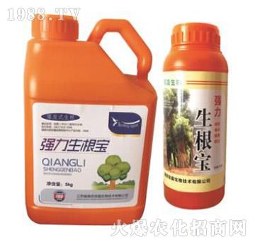 ��(qi��ng)��������-�p������