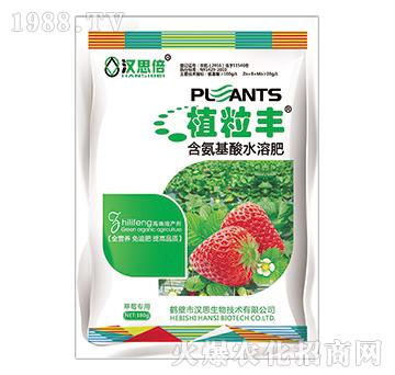 ��ݮ��(zhu��n)�ú�������ˮ�ܷ���-ֲ���S-�h˼����