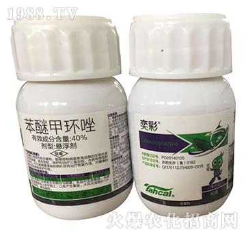 40%���Ѽ׭h(hu��n)��40�ˣ�-�Ȳ�-̩�̻���