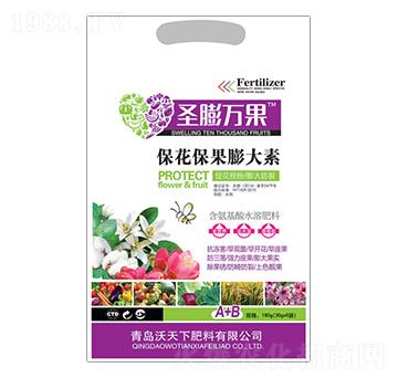 �������������-ʥ���f(w��n)��-������