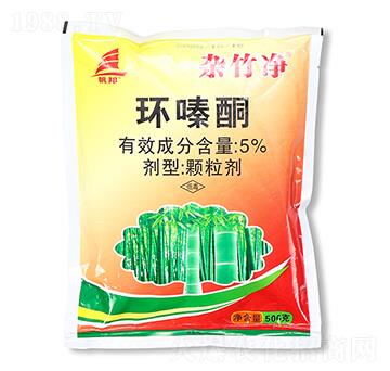 5%�h(hu��n)�ͪ��500�ˣ�-�s���-ϲ�S��