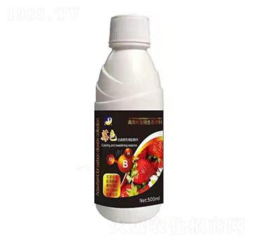 ������ɫ�����A-ݮɫ-���_