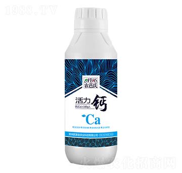 �����}-�r����-���S��