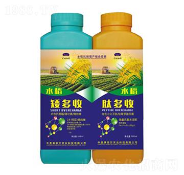 ˮ���������a�M���ײ�-������+�Ķ���-���Π�