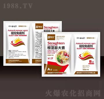 ���o�����+�ٿ����߄�-嫘���