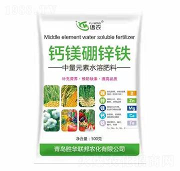 �}�V���\�F-�Z(y��)�r(n��ng)-���A(li��n)��