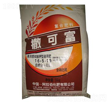 ������͏�(f��)�Ϸ�16-5-19-���ɸ�