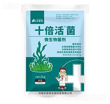 ΢�������-ʮ�����-������