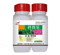 25%�ࡤ����������