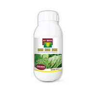 ˪ù�����߲�����